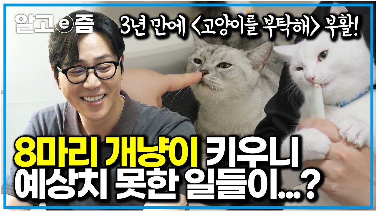 싸움도 없던 개냥이 8마리&hellip; 평화로운 줄만 알았는데, 숨겨진 반전이?｜고양이를 부탁해｜알고e즘