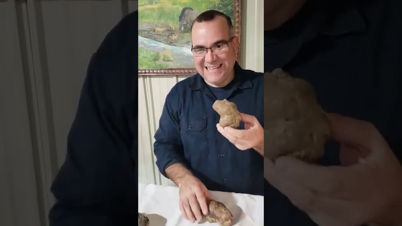 Coprolite