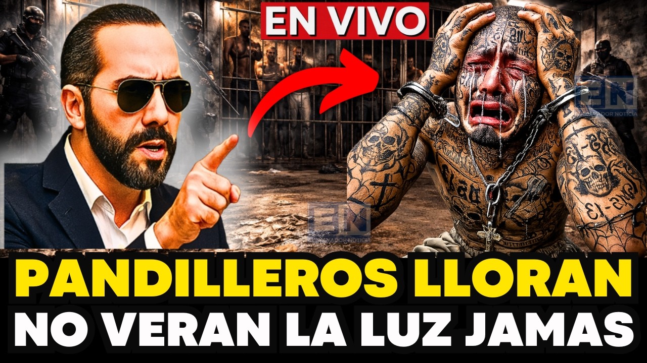 PANDILLEROS LLORAN BUKELE PIDE CARCEL POR SIEMPRE EN EL SALVADOR