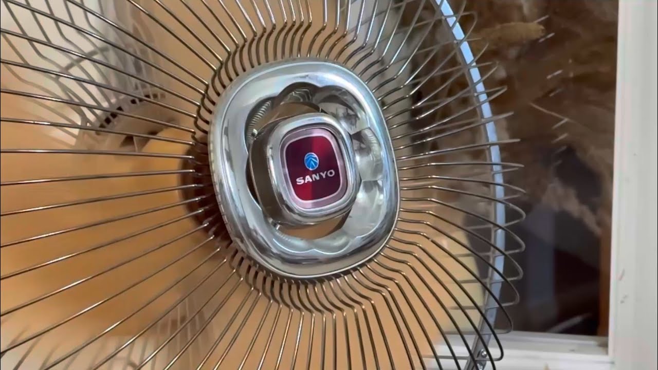 Electric Fan Collection! | Summer 2025
