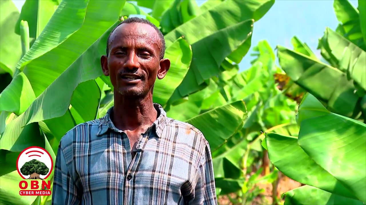 ከሰላም በስቲያ