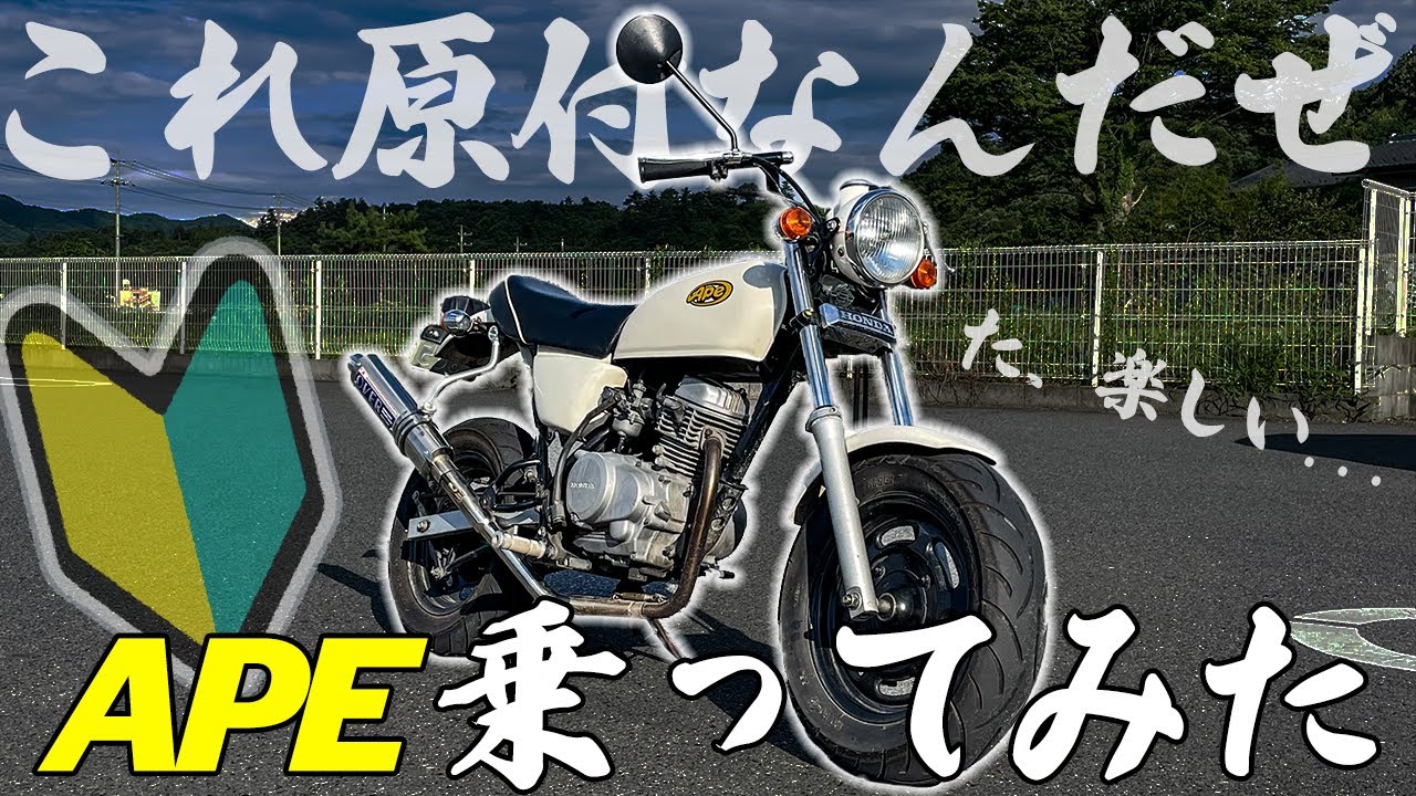 【大人気バイク】APE(エイプ)に試乗したら楽しすぎてヤバい...!!【モトブログ】