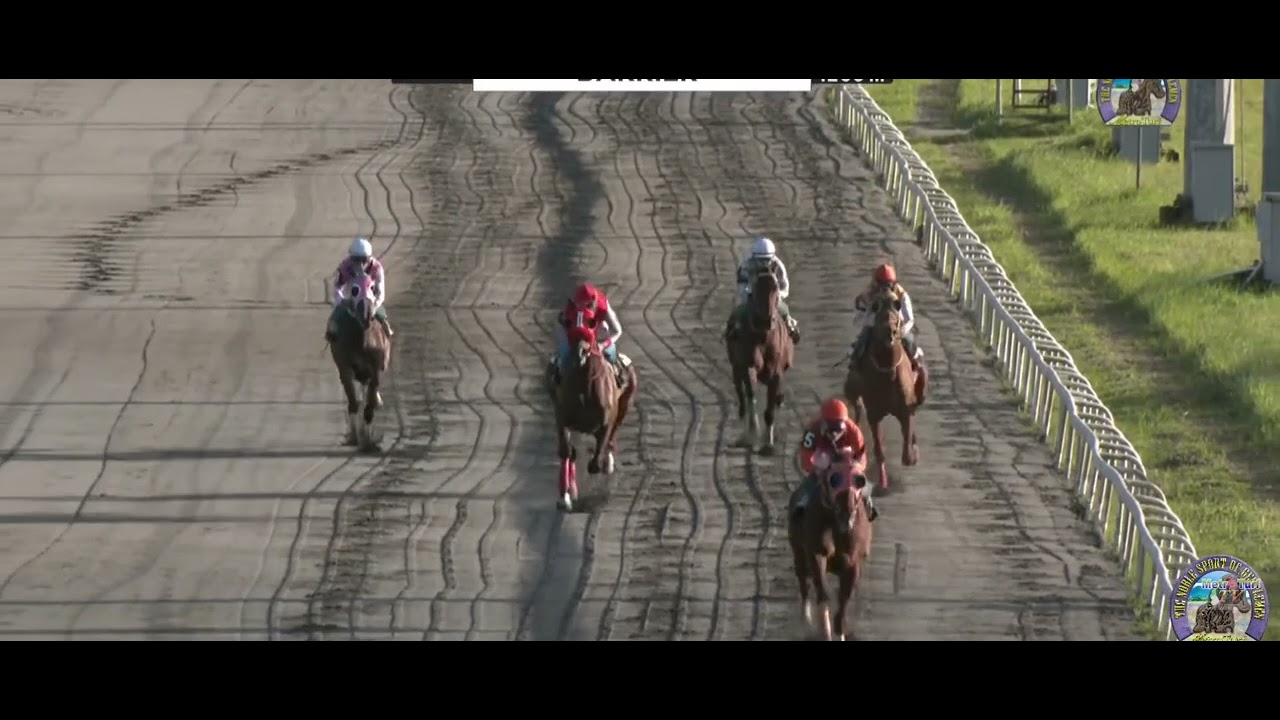 SOLIDARIA -MP LALOMA / MS BEAU- RC BALDONIDO/ BARRIER 1200M DEC 19 2025