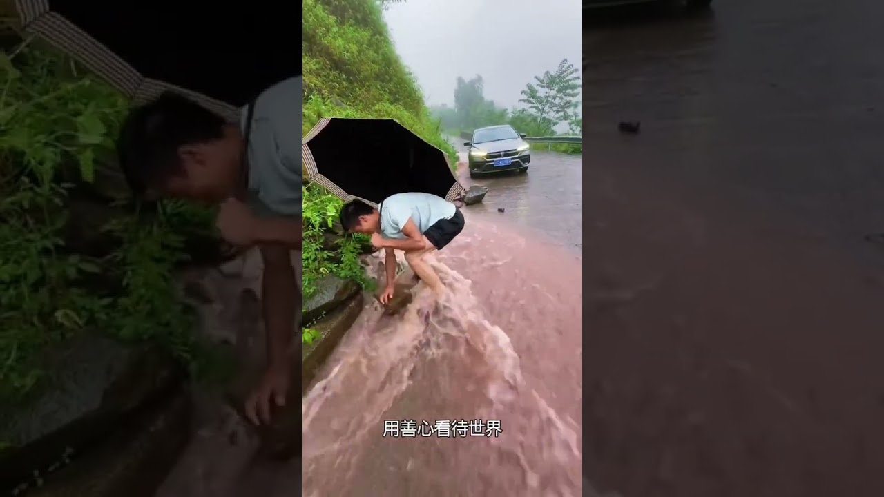 Good Samaritans Brave Heavy Rain to Solve Blocked River Road！ #rescue