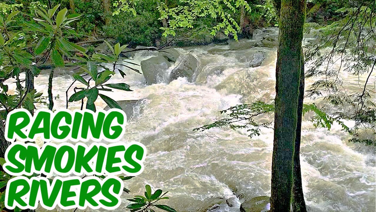 HEAVY RAIN BRINGS POWERFUL WATER TO THE SMOKIES