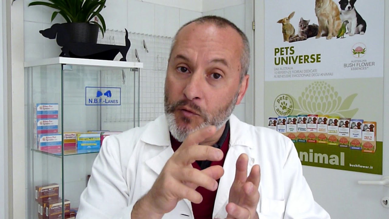 Tecniche Chirurgiche di Sterilizzazione