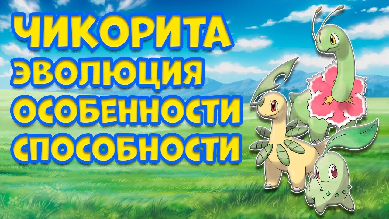 ЧИКОРИТА - ЭВОЛЮЦИЯ, ОСОБЕННОСТИ, СПОСОБНОСТИ
