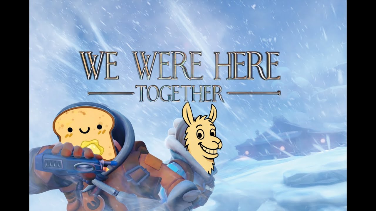 TOAST UND LAMA MACHEN SACHEN IN EINER BLOCKHÜTTE I We were here together LP