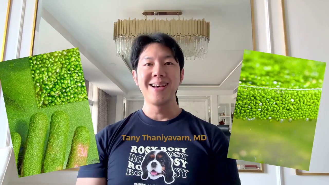 Superfood ฉบับคนไทย -- ไข่น้ำ ผำ #wolffia