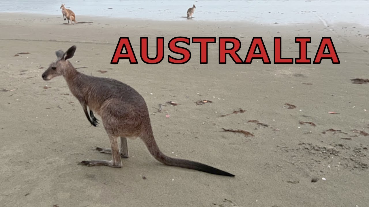 Australia kamperem. Queensland