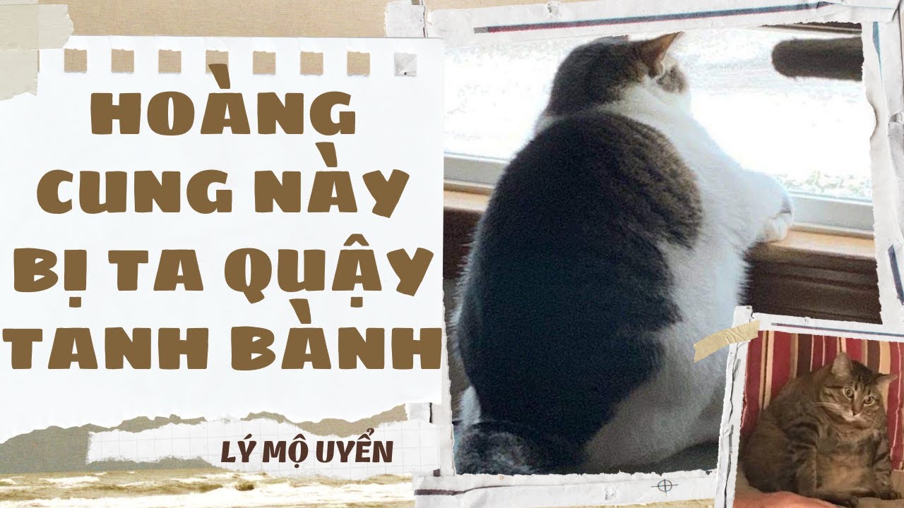 Audio Cổ Trang - [FULL] HOÀNG CUNG NÀY BỊ TA QUẬY TANH BÀNH - [LÝ MỘ UYỂN]