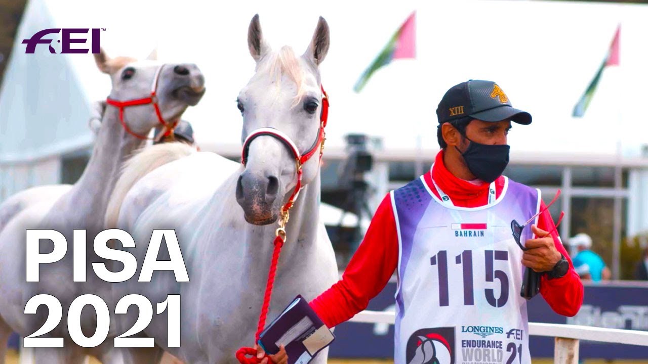 Pisa, ponies and glory! | Longines FEI Endurance World Championship