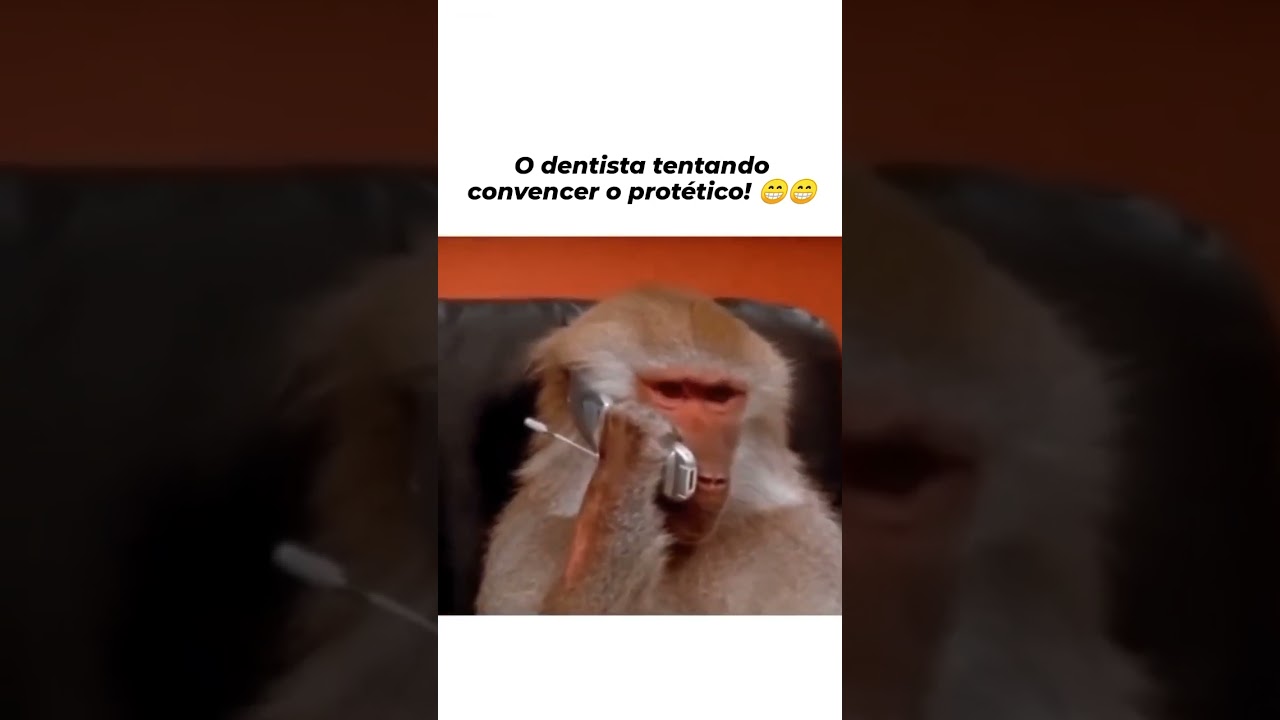 Dia a dia de um Protético🤣 