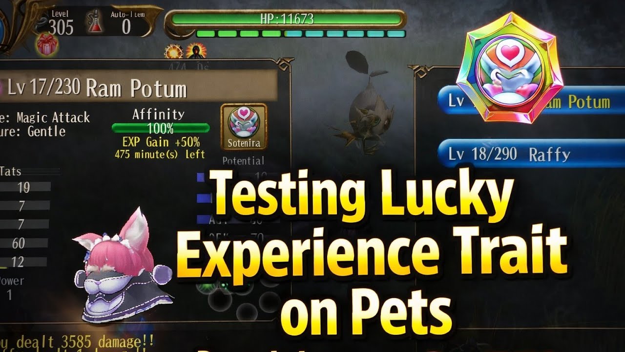 Testing Lucky Experience Trait on Pets | Does It Increase Pet EXP? - Toram Online