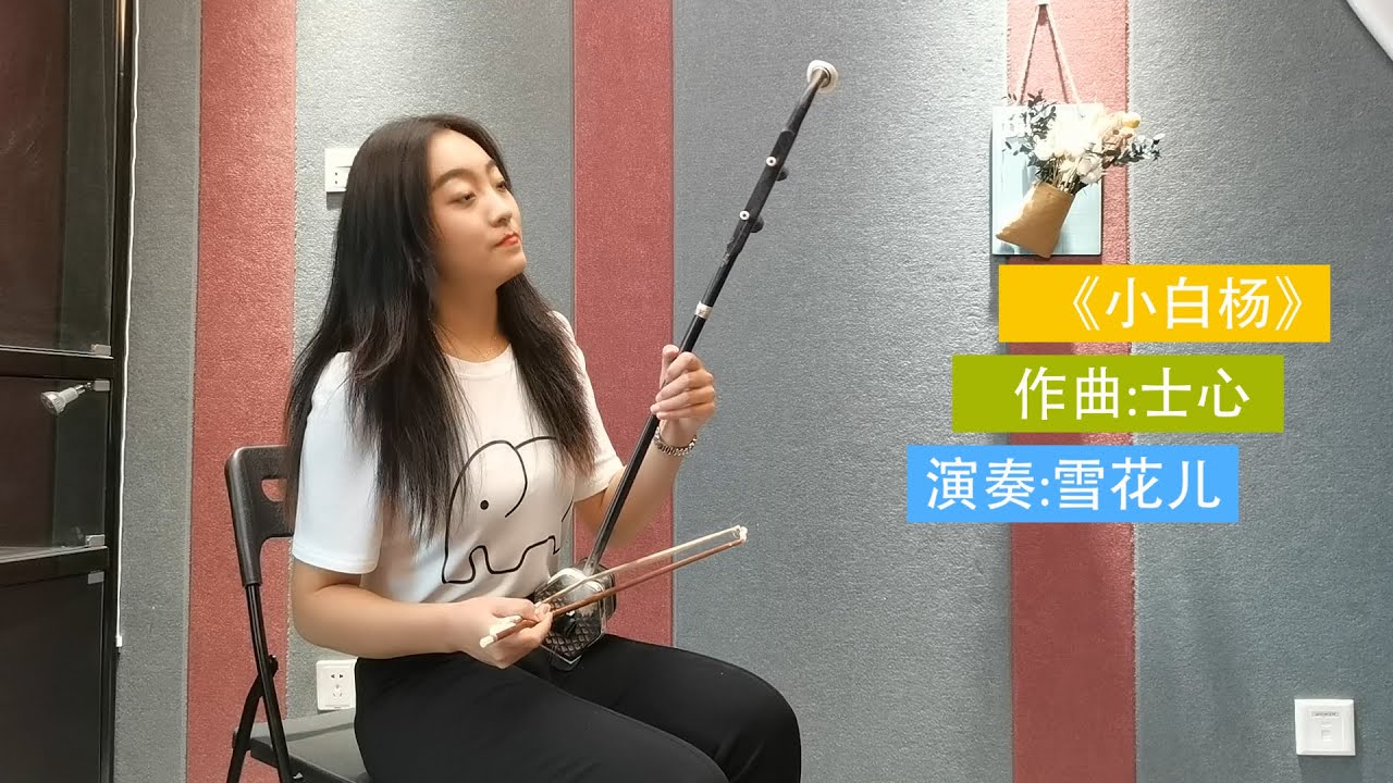 二胡版《小白杨》，旋律悠扬，刻画出以苦为乐的军营生活|Chinese folk music|二胡|erhu