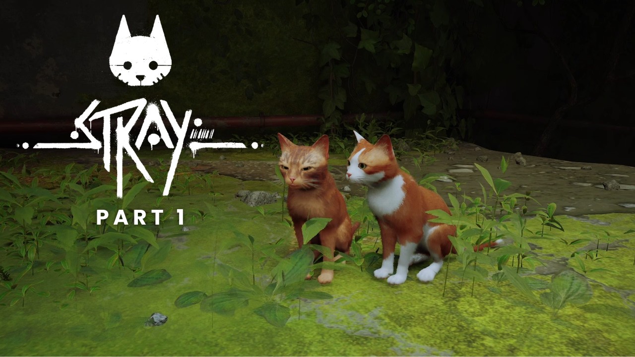 Petualangan Menjadi Kucing | Stray Part 1
