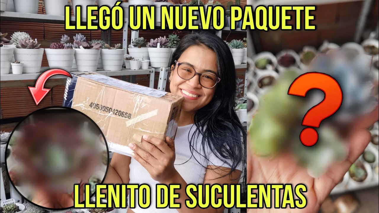 ABRIENDO CAJA MISTERIOSA DE MÁS DE $100 💵 LLENA DE SUCULENTAS 😲 | Jardines by Angie