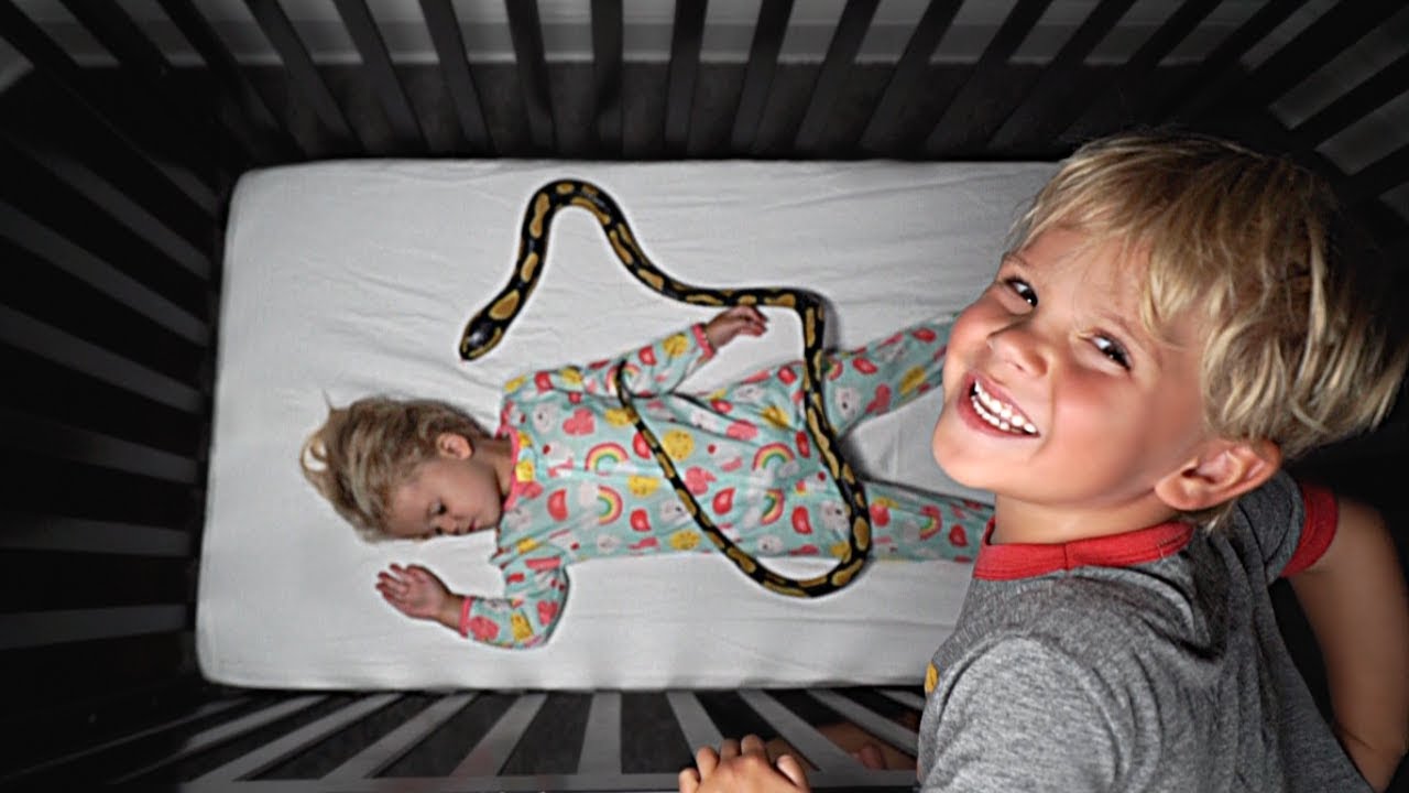 Tydus put a fake SNAKE in RyRy's BED! *Big Trouble*