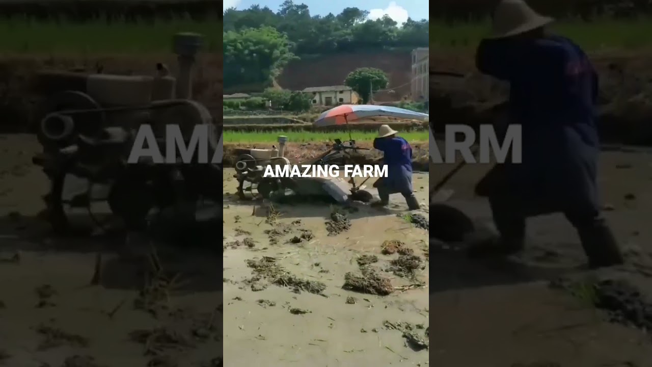 trucktor clean of rice field so amazing 
