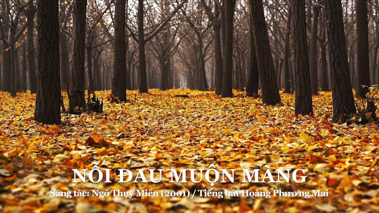 Nỗi đau muộn m&agrave;ng - Ng&ocirc; Thụy Mi&ecirc;n (Tiếng h&aacute;t Ho&agrave;ng Phương Mai)
