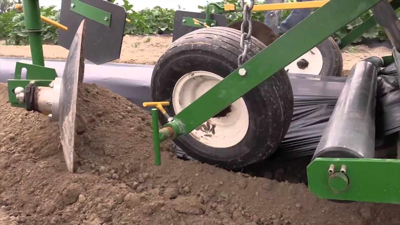 Biodegradable Mulch Laying and Incorporation