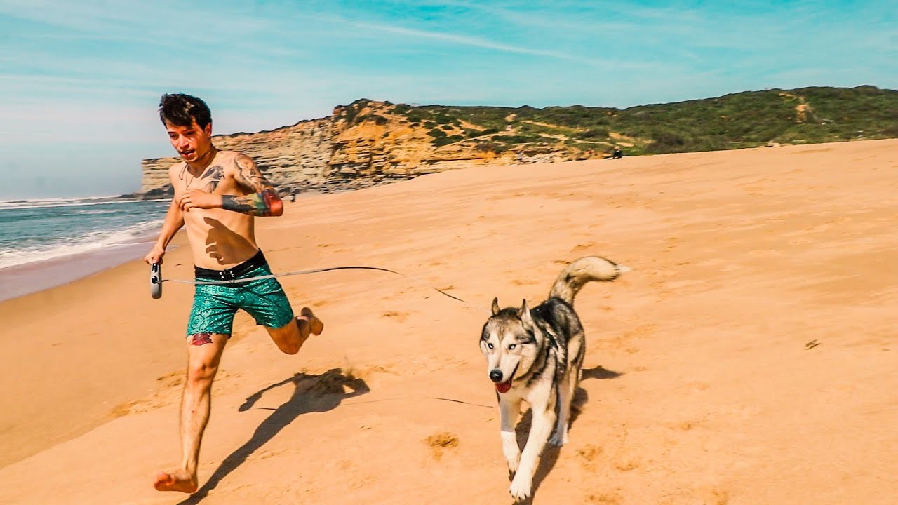 FUI À PRAIA COM O MEU CÃO