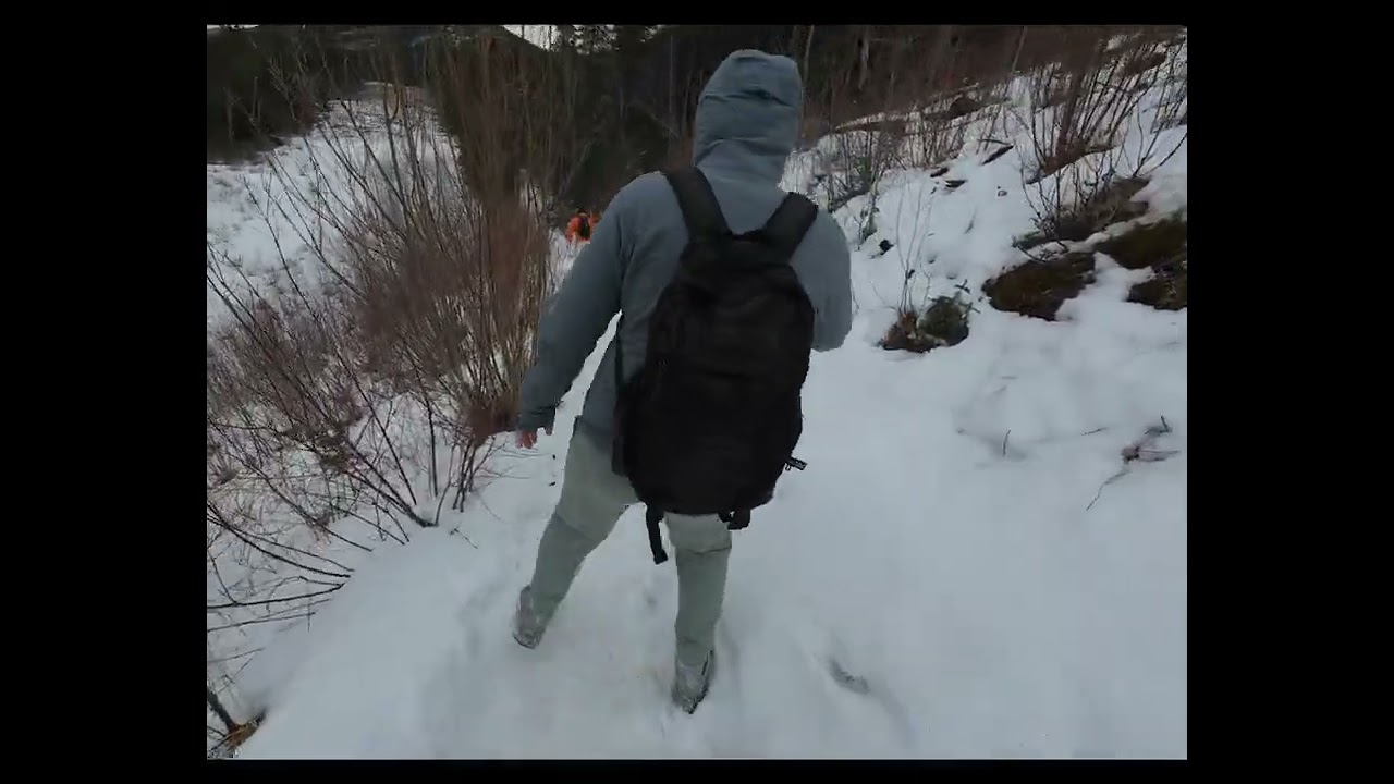 Прогулка Heart Creek Trail 