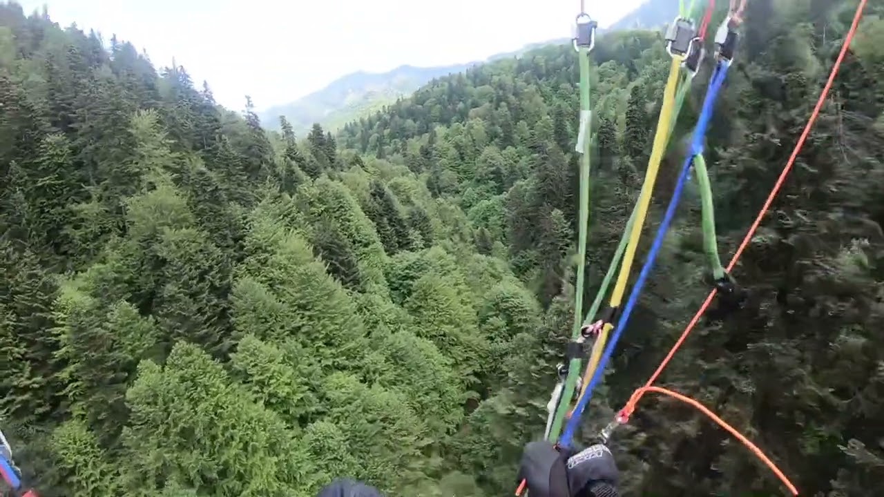 Surfing on the treetops