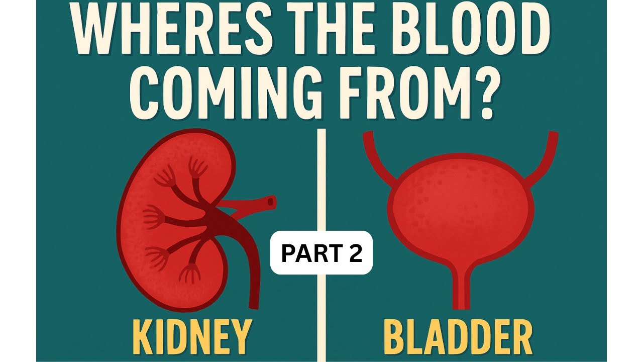Hematuria in Children: How to Identify the Site of Bleeding (Kidney vs Bladder) | Blood in Urine