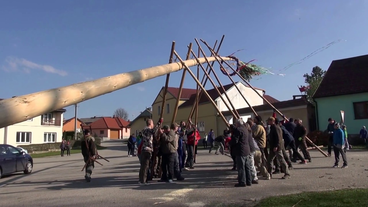 30. 4. 2017.Stavění májky 30 metrů dlouhé. Chlum u Křemže (ČK)