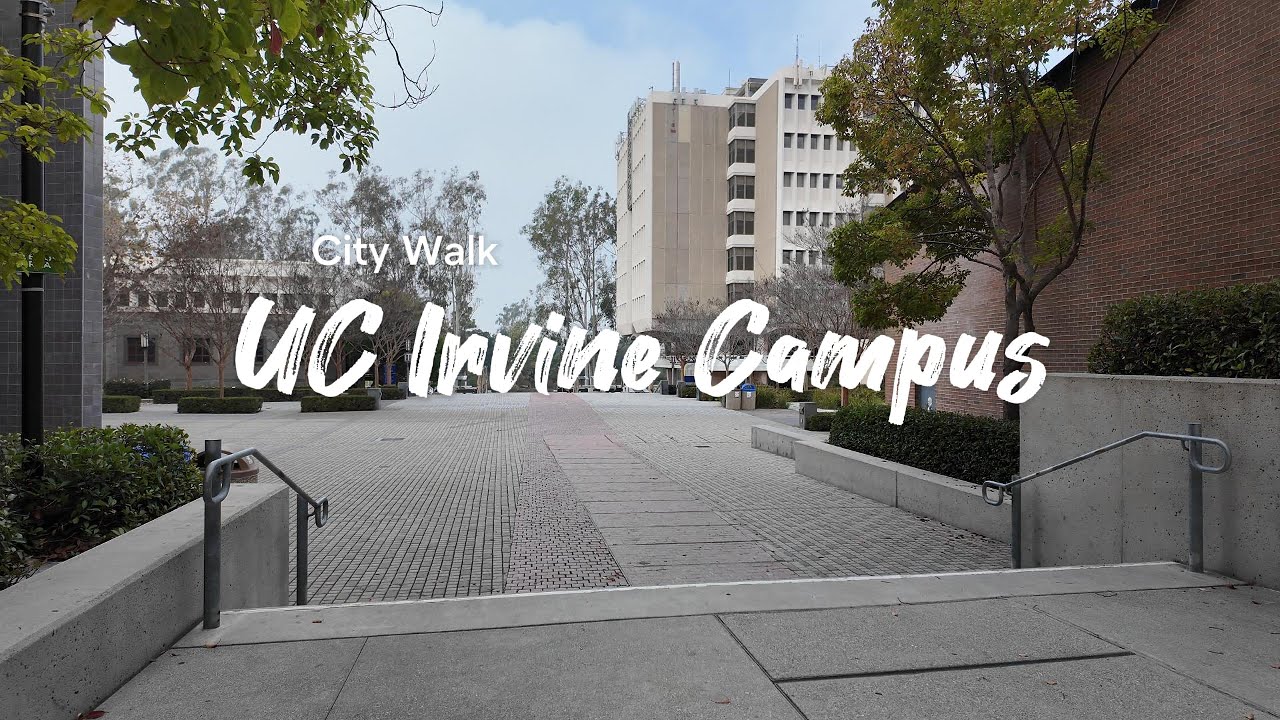 [4K City Walk] Beautiful UC Irvine Campus
