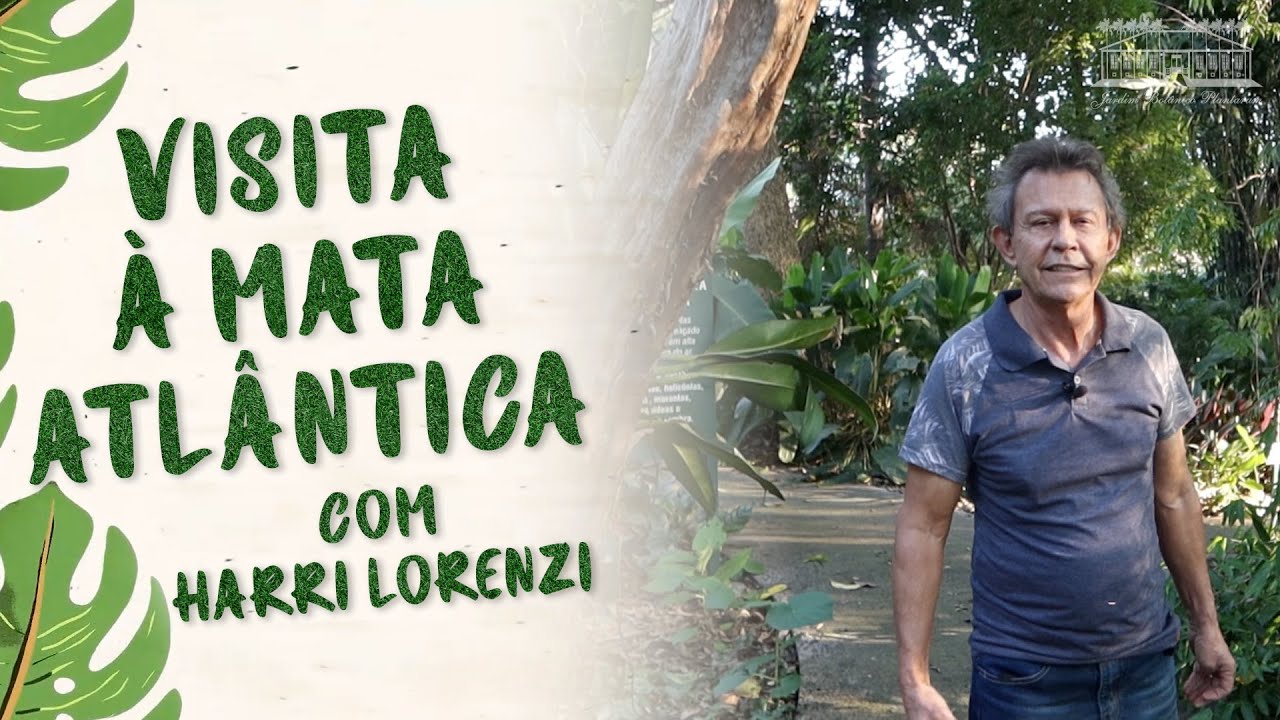 Especial Dia da Mata Atlântica | Jardim Botânico Plantarum