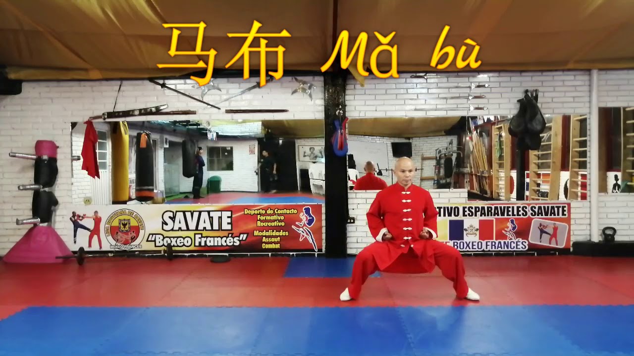 5 POSTURAS BASICAS DE WUSHU KUNG FU