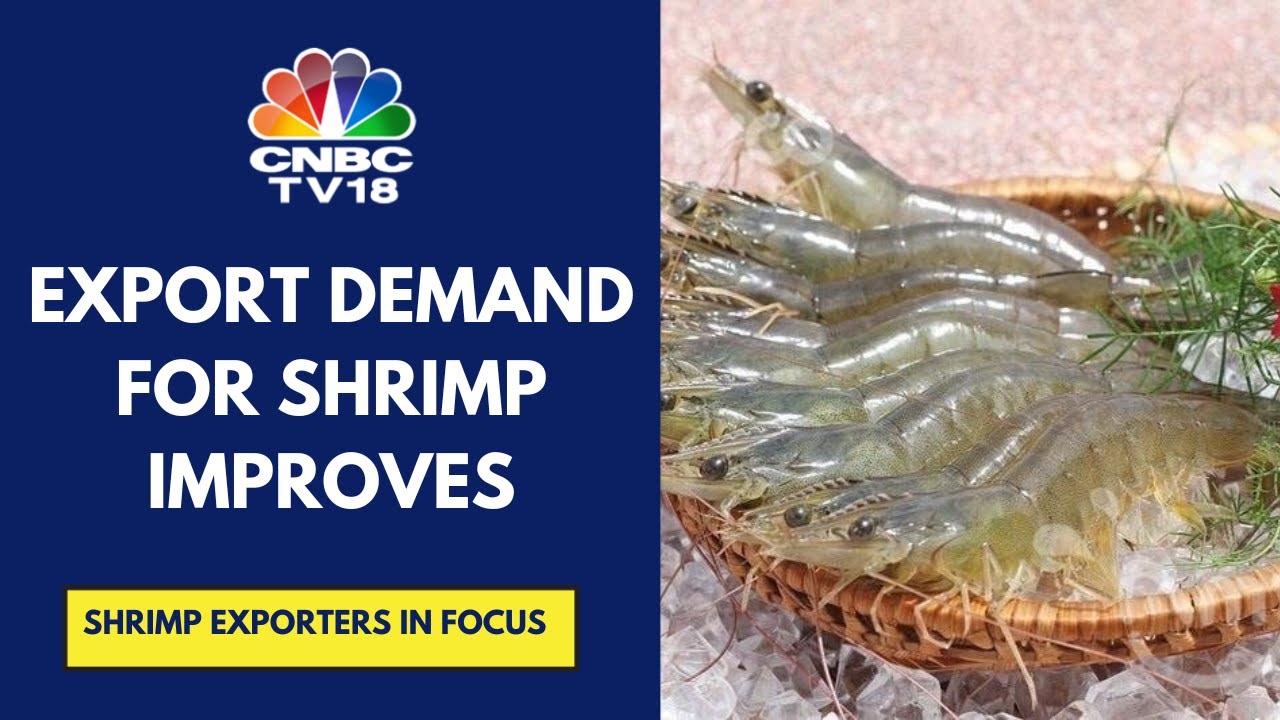 There Are A Few Restrictions On The Import Of Shrimps In The US: CRISIL Ratings | CNBC TV18