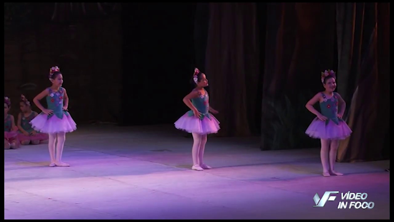 ARTE DANCE 2016 - Flores Lilás