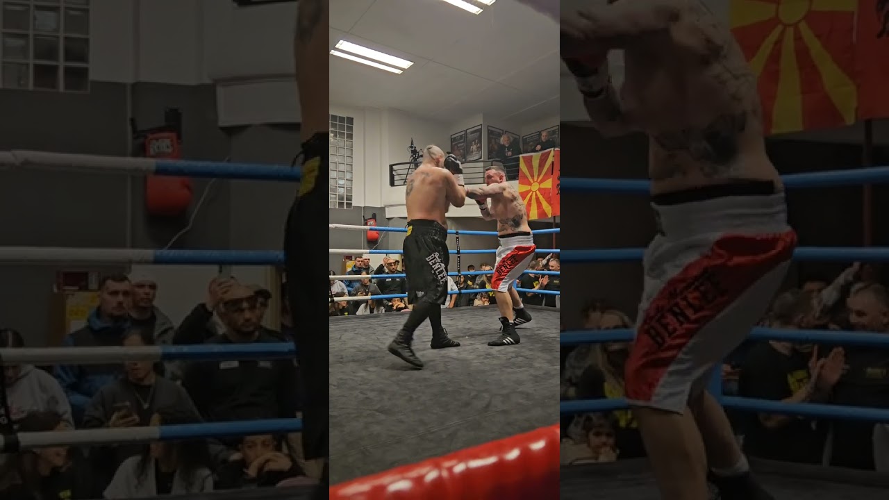 Heavyweight Profiboxing 2ter Profifight  Eugenio Milazzo vs Der Chatte