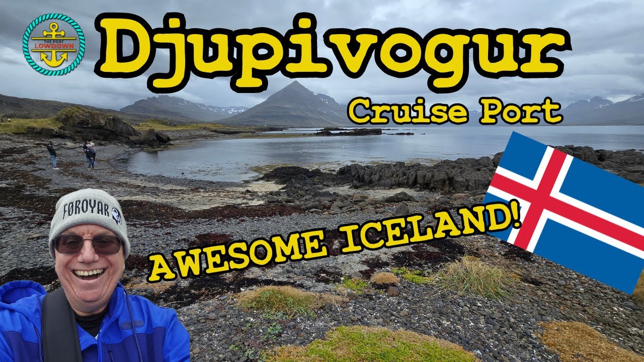 Djupivogur Cruise Port Guide! What to do on your port day!