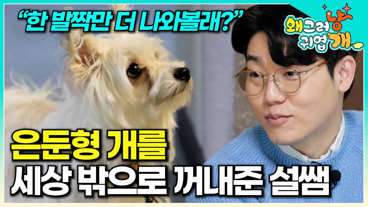 집 밖이 무서워 산책이 불가능했던 소심한 은둔형 개를 세상 밖으로 나오게 해준 설쌤 |#왜그러냥귀엽개