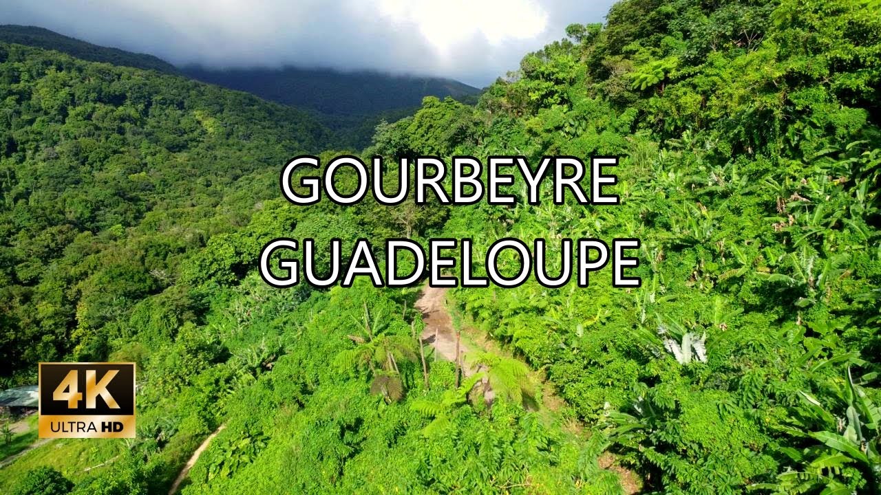 Gourbeyre Forest (For&ecirc;t D&eacute;partementale de Gourbeyre), Guadeloupe - 4K DJI mini 2 Drone Footage