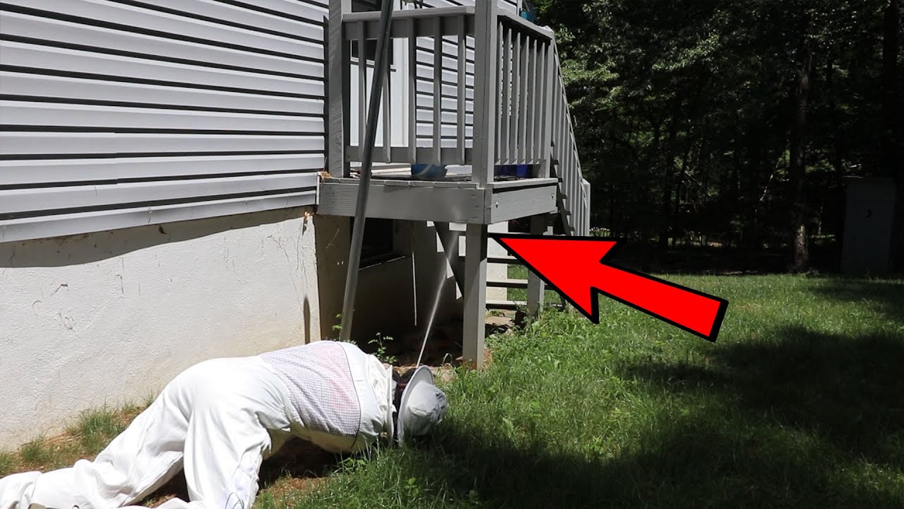 The Ongoing fight against Yellow Jackets with the Humble Bee Suit unboxing, Traps, and Spray