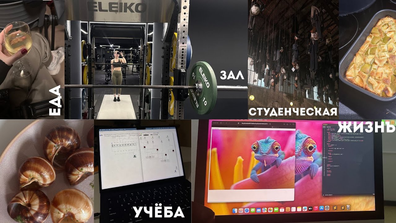 VLOG NO.11//студенческая неделя октября//магистратура во Франции//шарлотка и улитки//осень 2025
