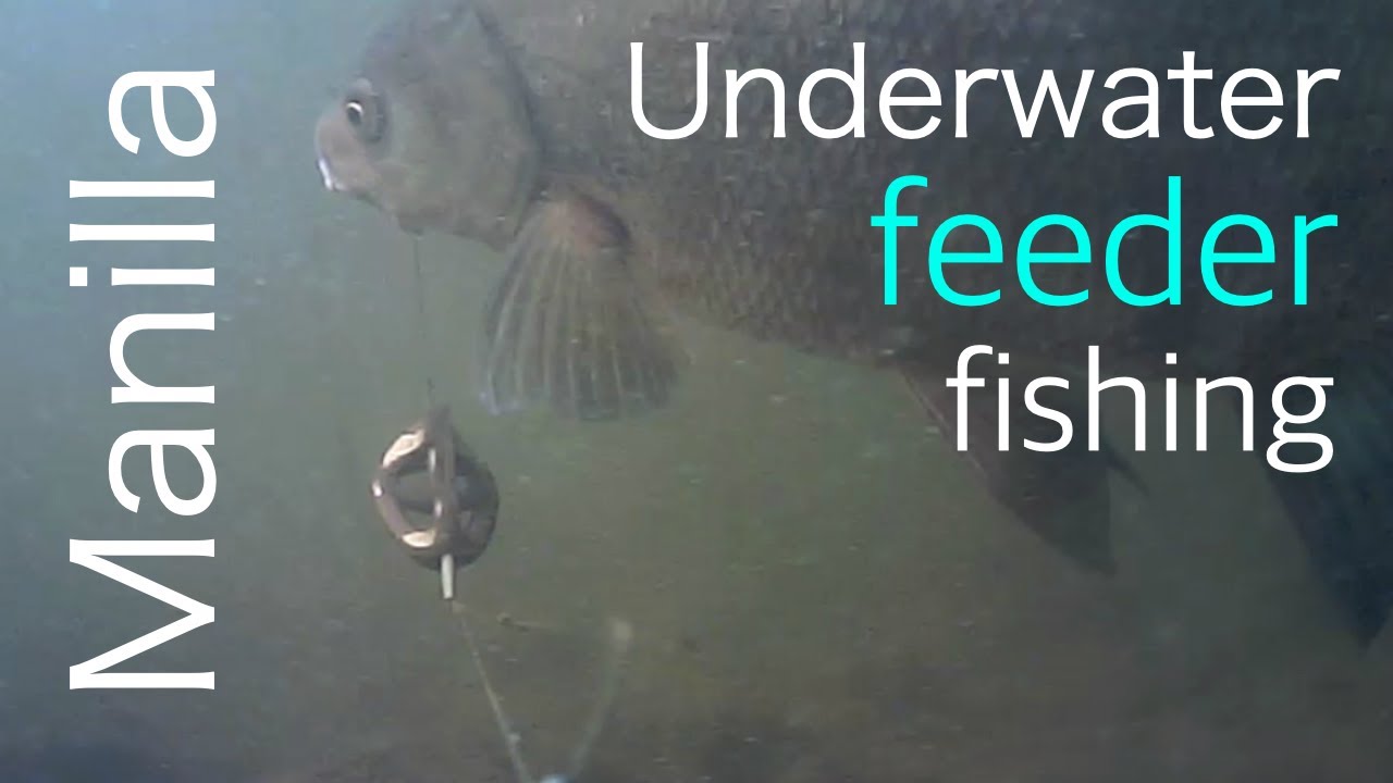 Fishing the method feeder with Manilla - Underwater footage - Breamtime S5 E1