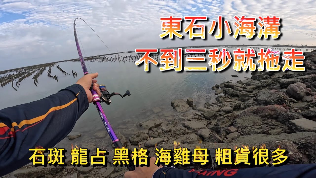 白水湖的小海溝 好多特殊高級魚種 而且還很多大魚 丟下去不用三秒就拖走竿竿咬