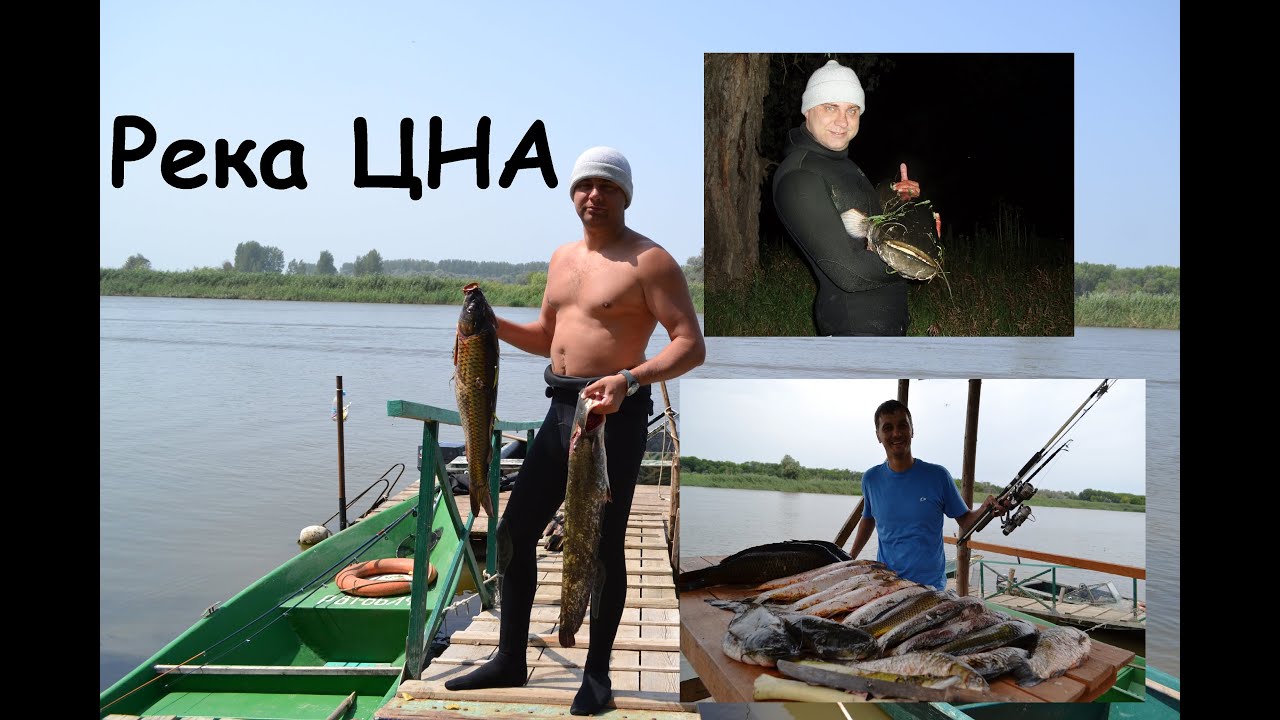 Рыбалка. Подводная охота 🐟  Река Цна.