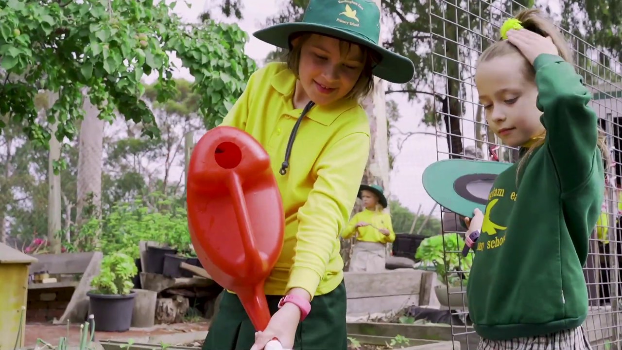 Welcome to Sandringham East Primary School