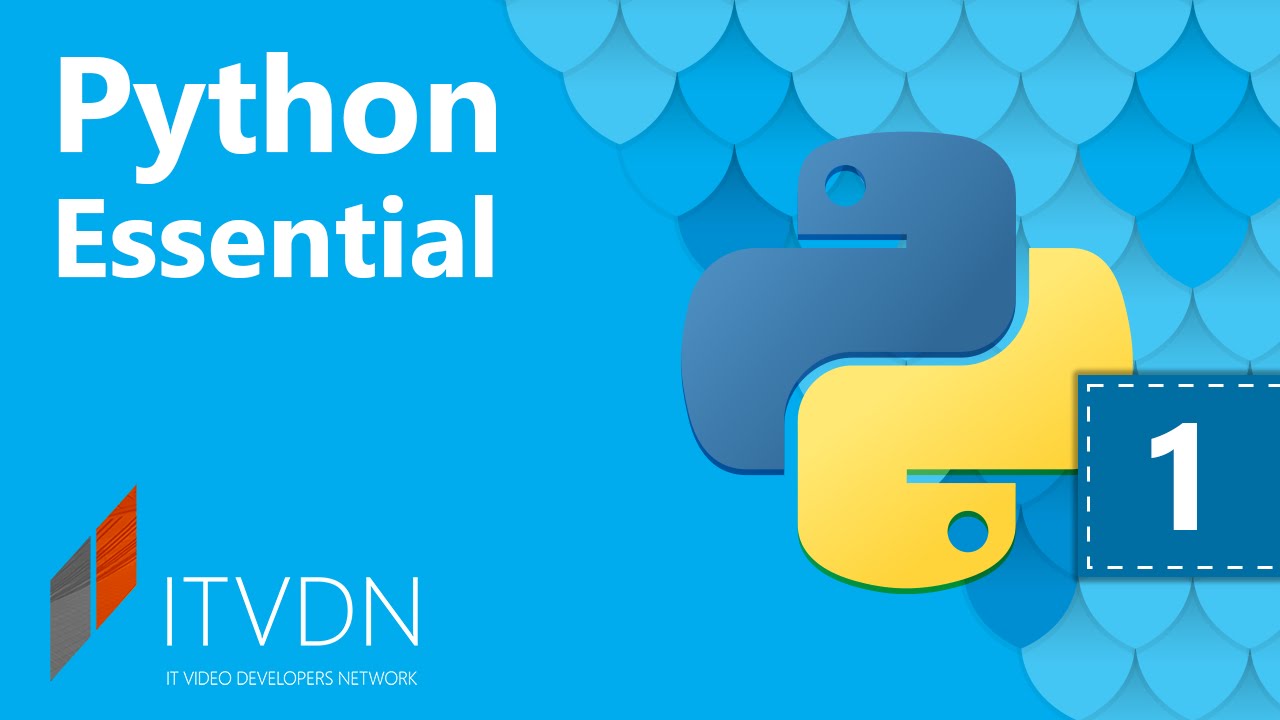 Python Essential. Урок 1. Введение в ООП Python