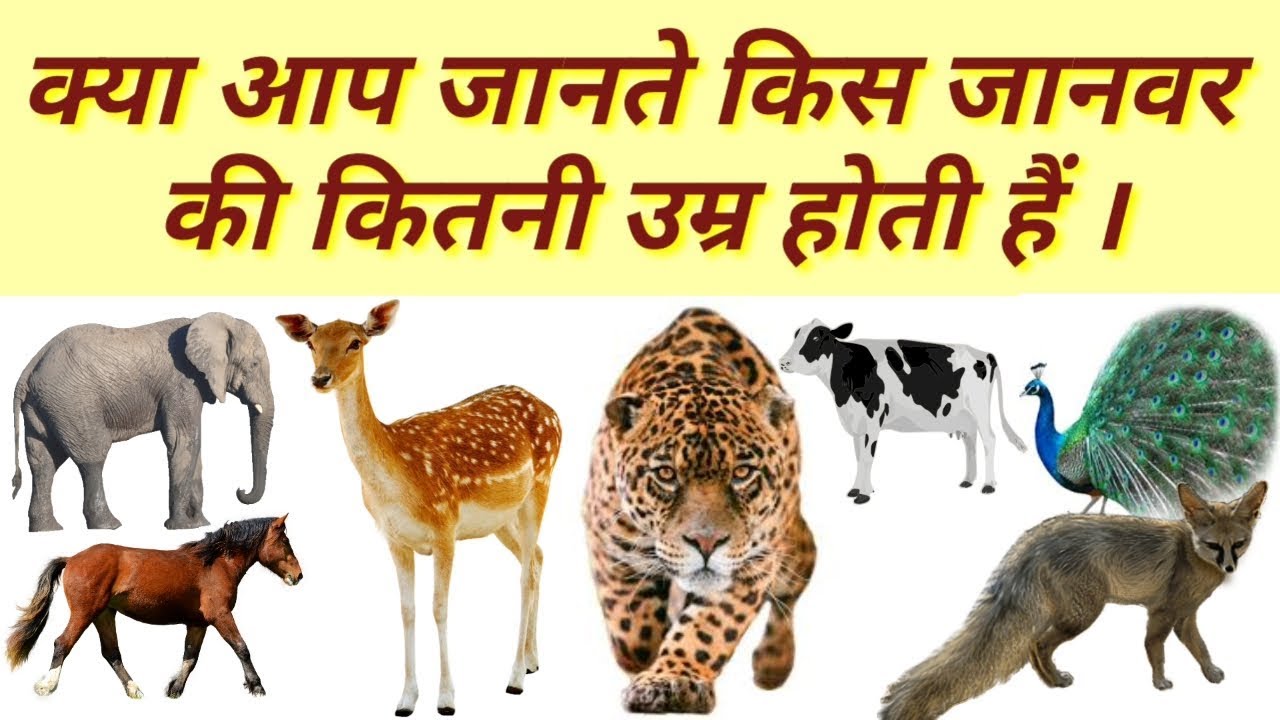 How old is each animal/facts in Hindi GK question in Hindi animals age/fast mind tips