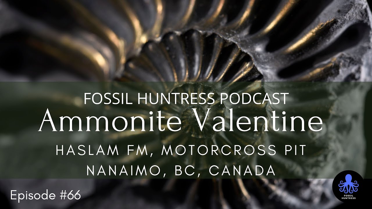 Fossil Huntress Podcast: Upper Cretaceous Brannen Lake / Episode #66