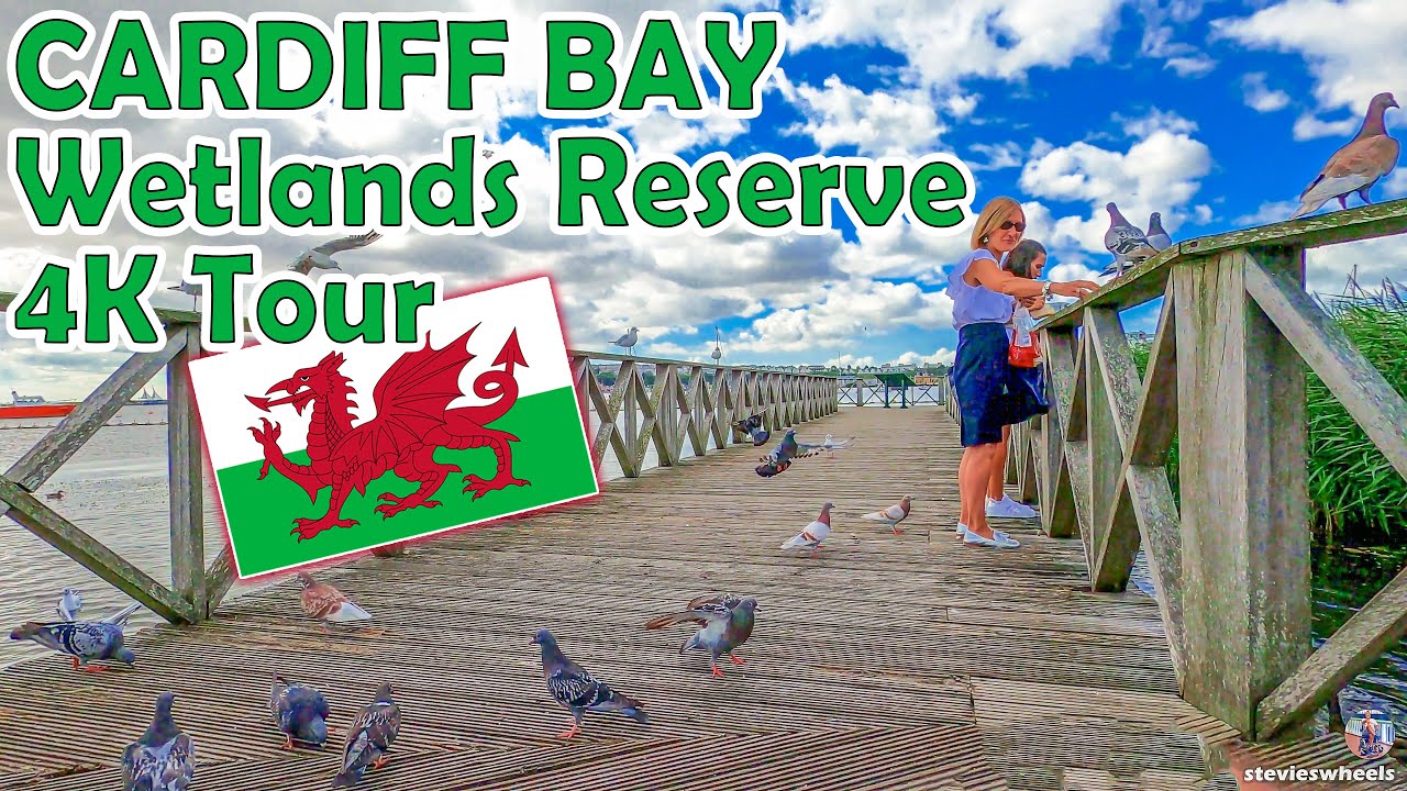 Cardiff Bay Wetlands Reserve Walking Tour 4K | Accessible Travel | CARDIFF WALES UK August 2022