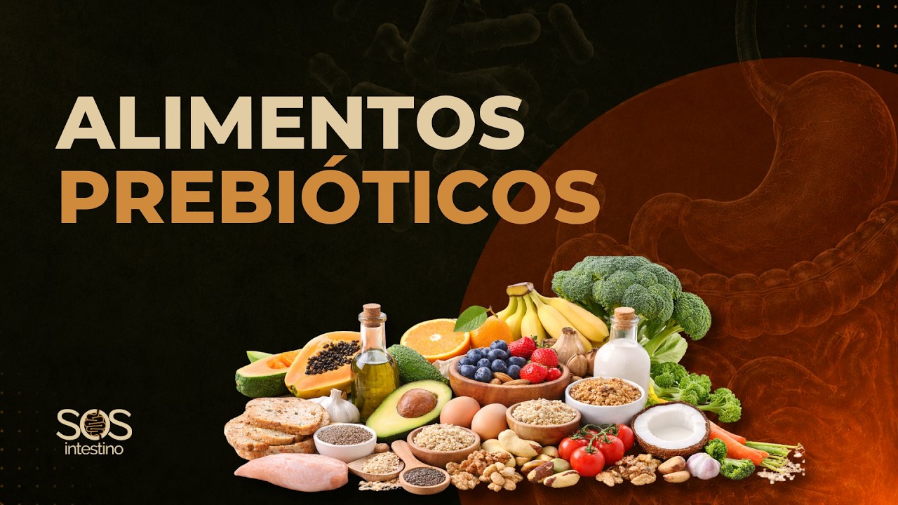 OS PREBIÓTICOS QUE AUMENTAM AS BACTÉRIAS BOAS!